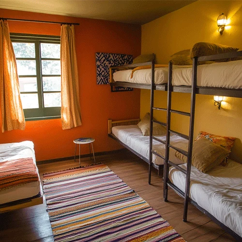 professional SOP support for USA